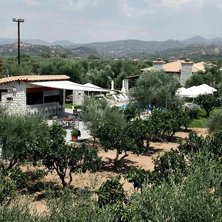 Asfendamos * Zaháro